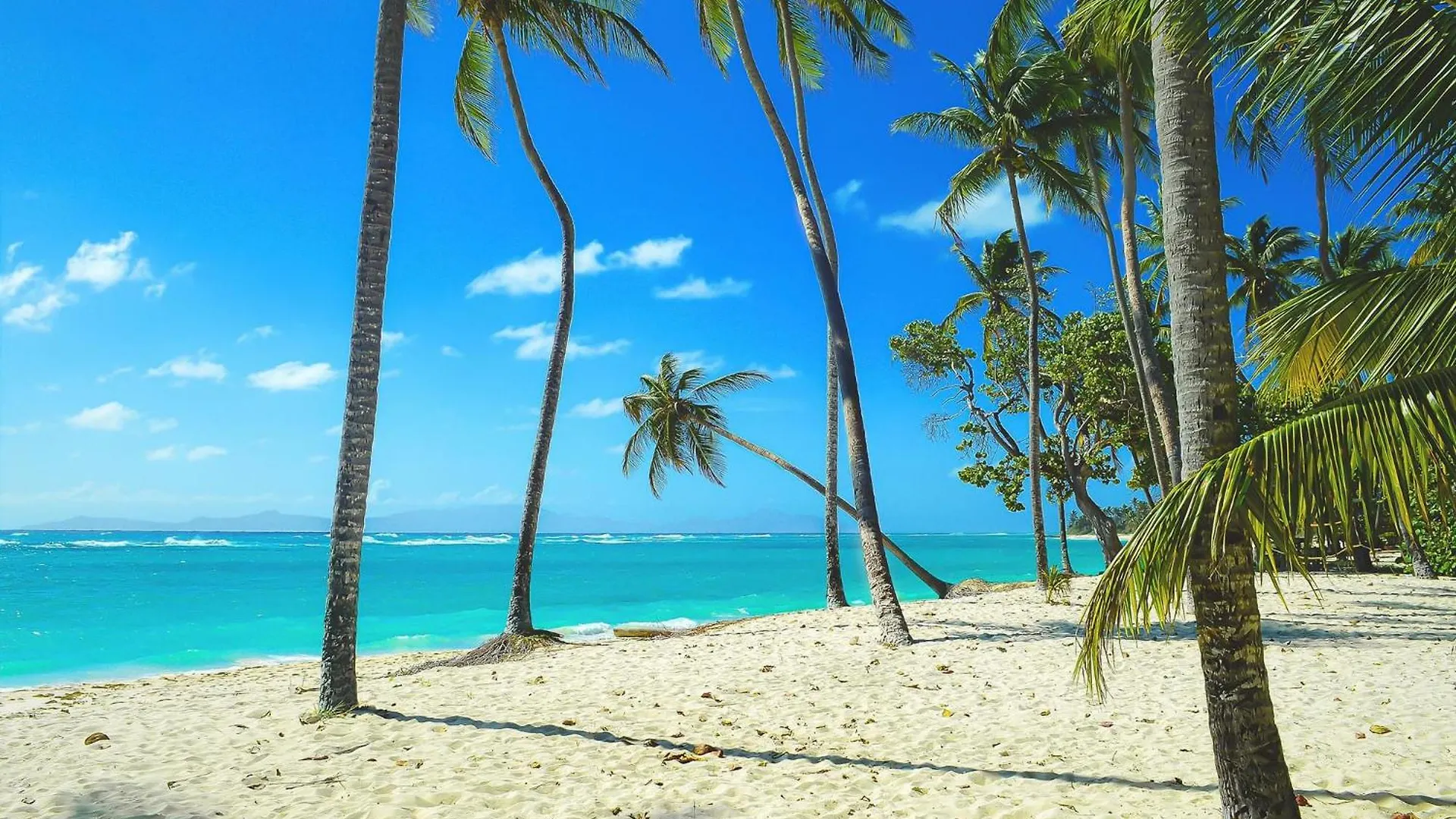 Feriehus Villa Caraibes Piscine Vue Sur Le Zion Sainte-Anne Guadeloupe