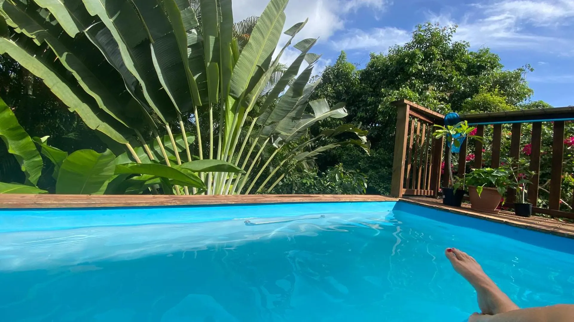 Feriehus Villa Caraibes Piscine Vue Sur Le Zion Sainte-Anne
