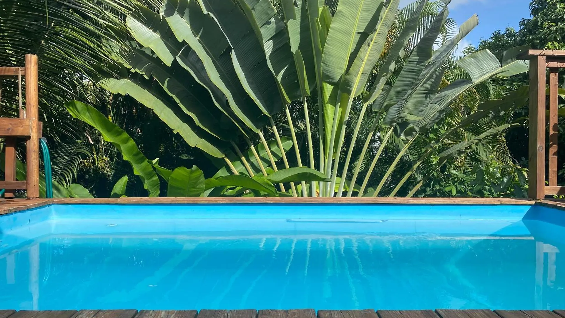 Feriehus Villa Caraibes Piscine Vue Sur Le Zion Sainte-Anne